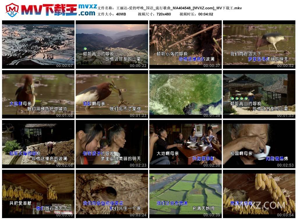 王丽达-爱的呼唤_国语_流行歌曲_MA404548